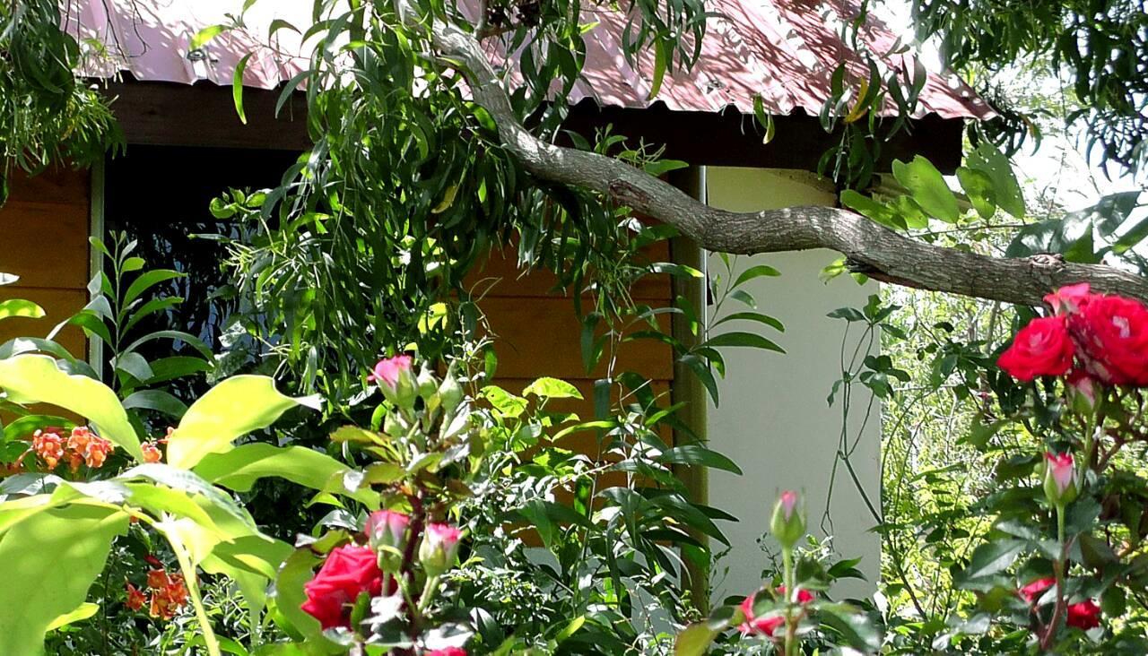Sunntop Cabana Trincomalee Dış mekan fotoğraf